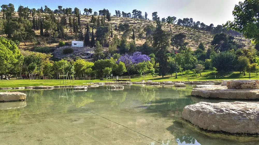 בריכת המעיין והמדשאות בגן לאומי מעיין חרוד