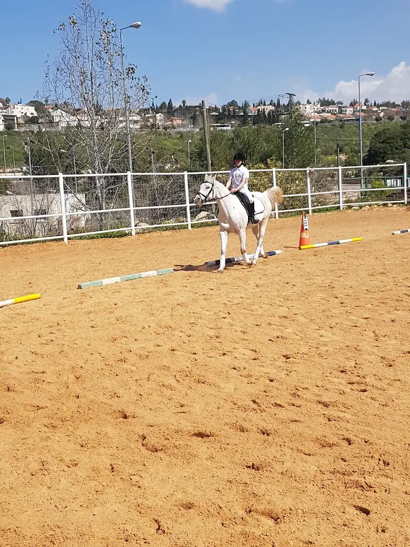 חוות הרי יהודה - רכיבה על סוסים בצור הדסה — בילוי משפחתי עם ילדים