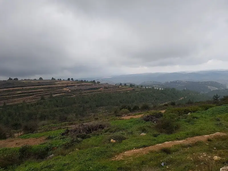 The Workshop ירושלים - סדנאות יצירה בירושלים — בילוי משפחתי עם ילדים