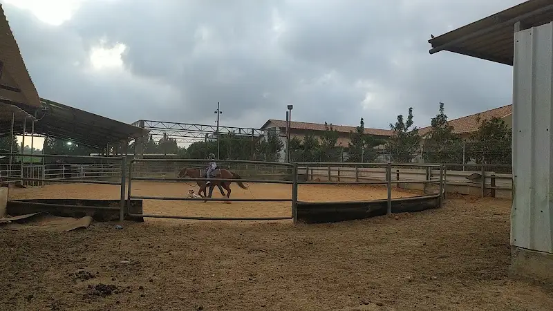 חוות חניאל בחניאל — בילוי משפחתי עם ילדים