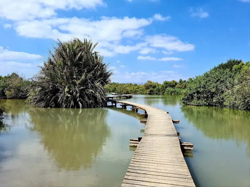 שמורת הטבע עין אפק בקריית ביאליק — בילוי משפחתי עם ילדים