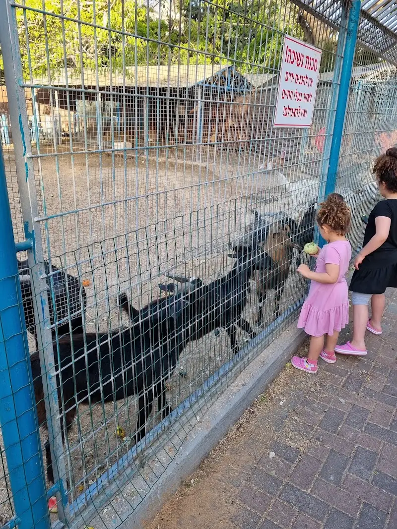 חי בחולון בחולון — בילוי משפחתי עם ילדים