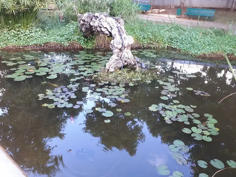 חי פארק כפר סבא בכפר סבא — בילוי משפחתי עם ילדים