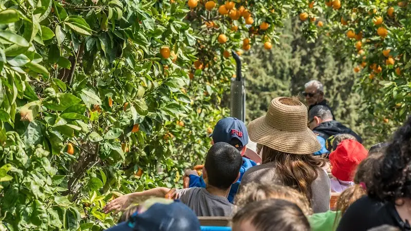 אתר הפרדסנות ע"ש מינקוב רחובות ברחובות — בילוי משפחתי עם ילדים