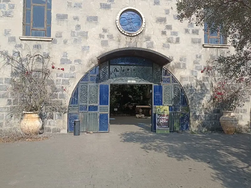 בית הבד של הגולן בקצרין — בילוי משפחתי עם ילדים