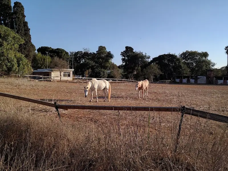 פינת חי בגבעת חיים איחוד — בילוי משפחתי עם ילדים