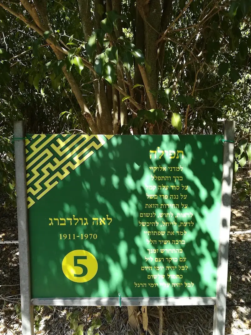 מבוך בעמק בשדה יעקב — בילוי משפחתי עם ילדים