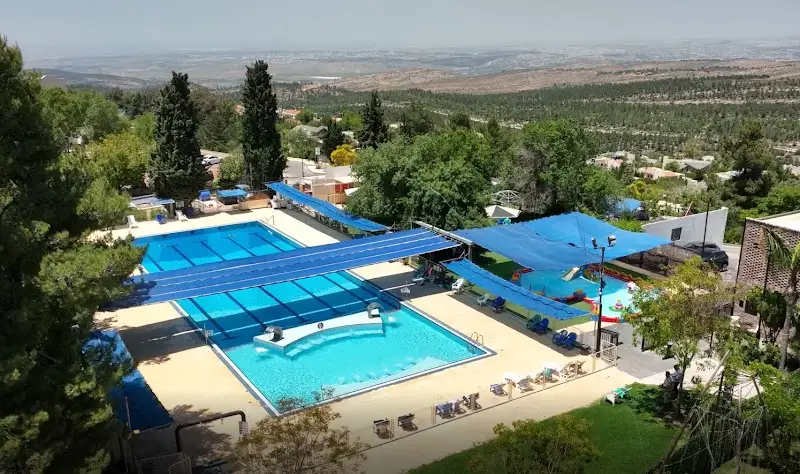 בריכת שורש בשורש