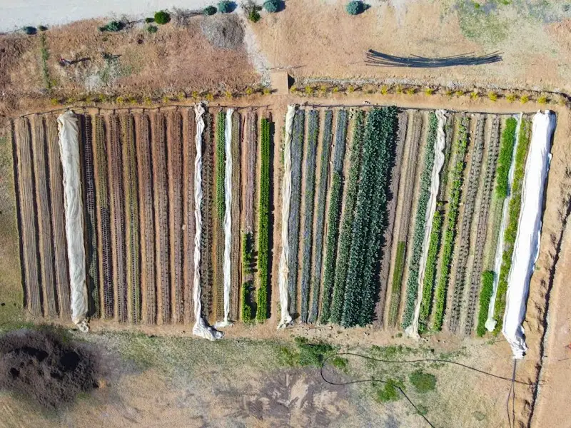 Rimon Farm חוות רימון בLahav — בילוי משפחתי עם ילדים