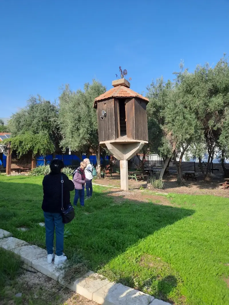 מוזיאון בית הרופא במנחמיה — בילוי משפחתי עם ילדים