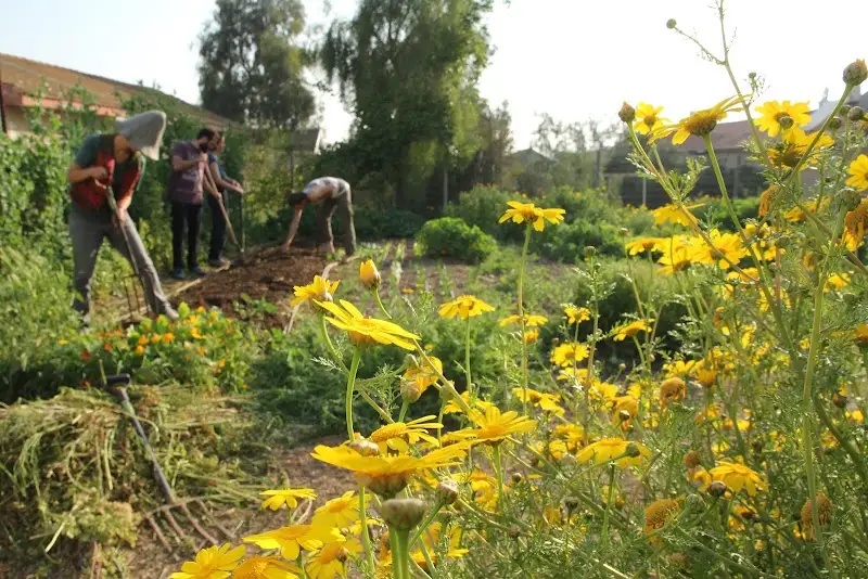 חוות בארי - שבועת האדמה Be'eri Farm - Earth's Promise בבאר שבע — בילוי משפחתי עם ילדים