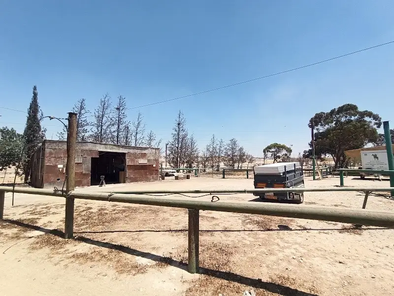 חוות אביר בערד — בילוי משפחתי עם ילדים
