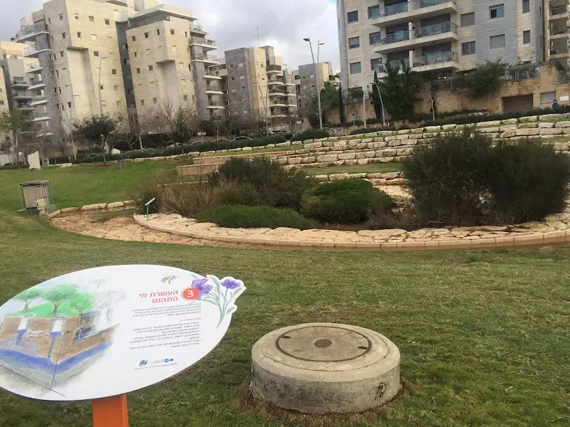 בריכת ביו פילטר בכפר סבא — בילוי משפחתי עם ילדים