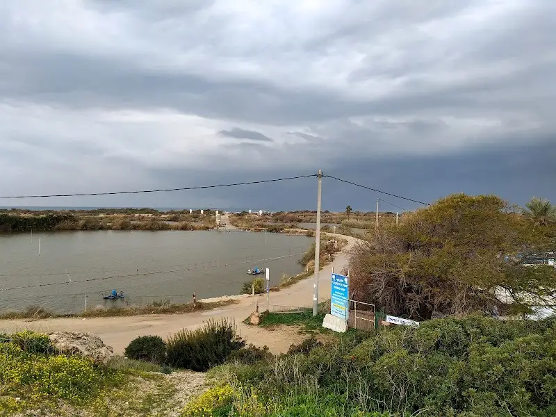 פארק הדיג מעיין צבי במעיין צבי — בילוי משפחתי עם ילדים