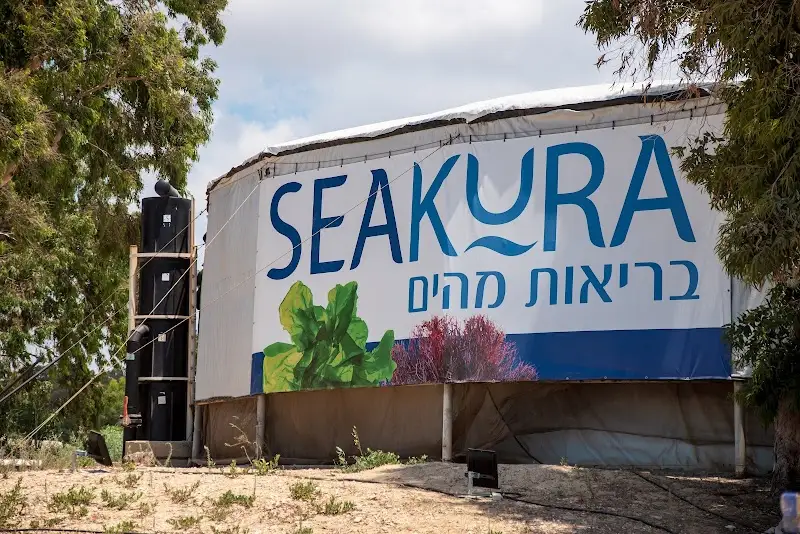 מרכז המבקרים 'הצצה באצה' - חוות סיקורה במכמורת