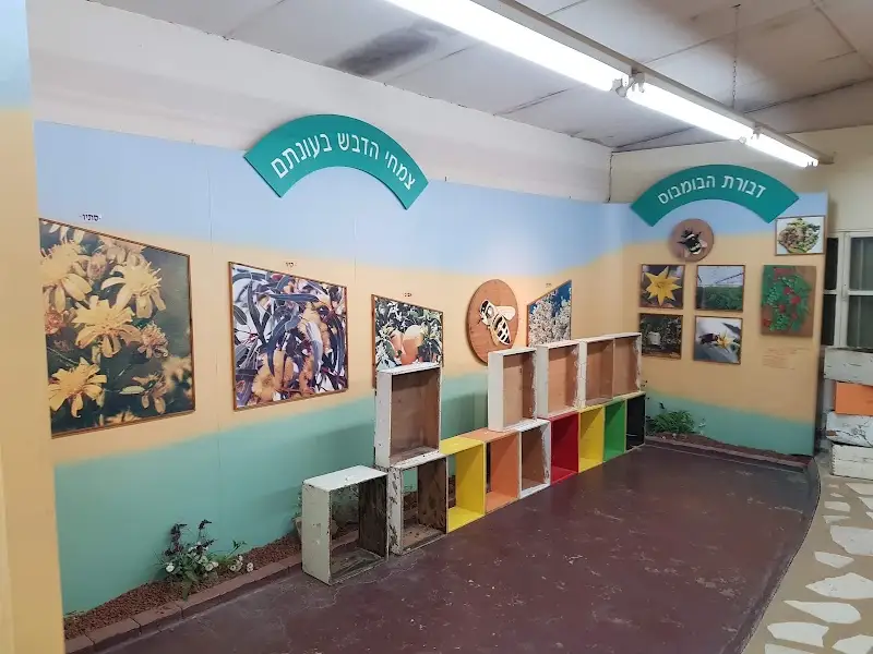 תיירות יד מרדכי - בית הדבש והדבורה ביד מרדכי — בילוי משפחתי עם ילדים