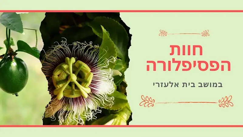 חוות הפסיפלורה בבית אלעזרי — בילוי משפחתי עם ילדים