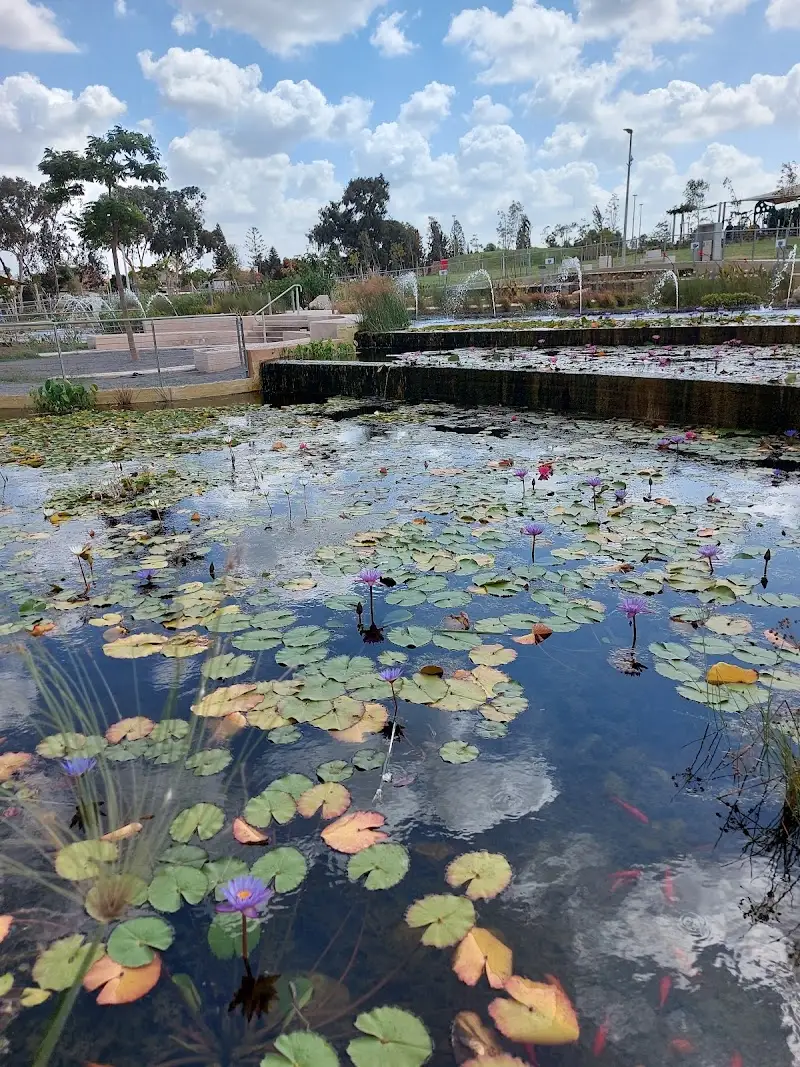 פארק השרון יבנה ביבנה — בילוי משפחתי עם ילדים