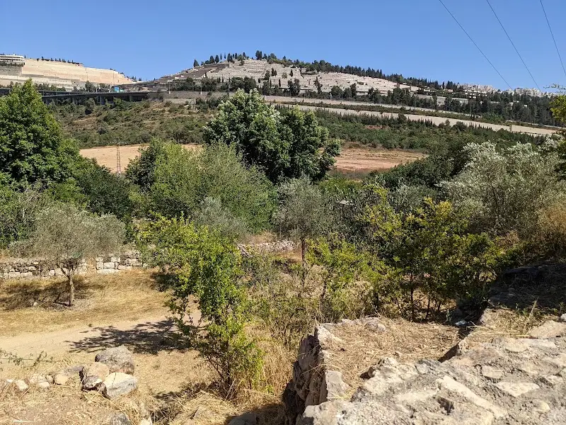 גן לאומי עינות תלם בירושלים — בילוי משפחתי עם ילדים