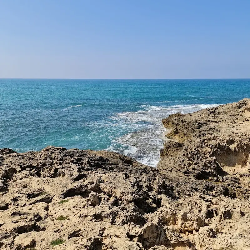 שמורת טבע חוף דור הבונים בדור — בילוי משפחתי עם ילדים