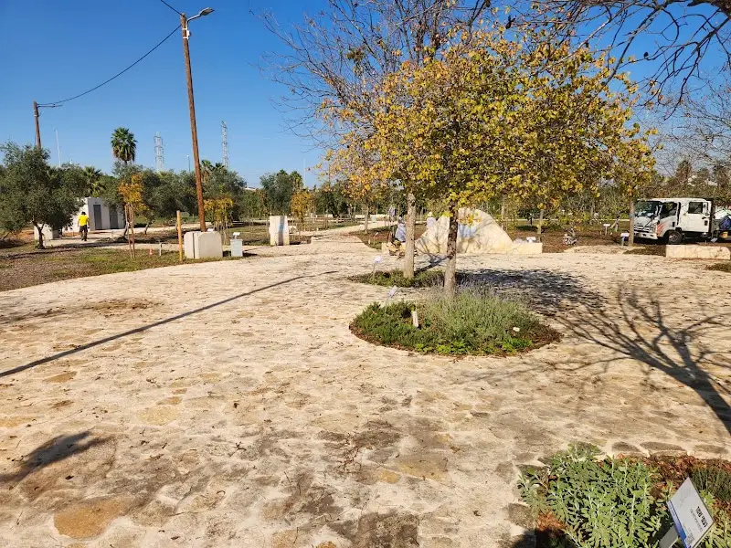 יער השירים ובריכת החורף בפתח תקווה בפתח תקווה — בילוי משפחתי עם ילדים