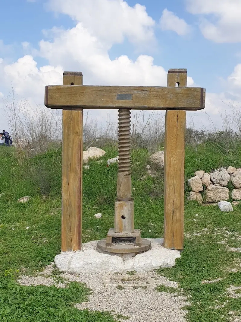 גבעת התיתורה - מודיעין במודיעין