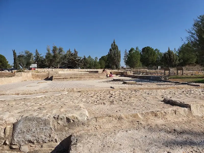 פארק יער שוהם - חרבת תנשמת וגבעת הספלולים בשוהם — בילוי משפחתי עם ילדים