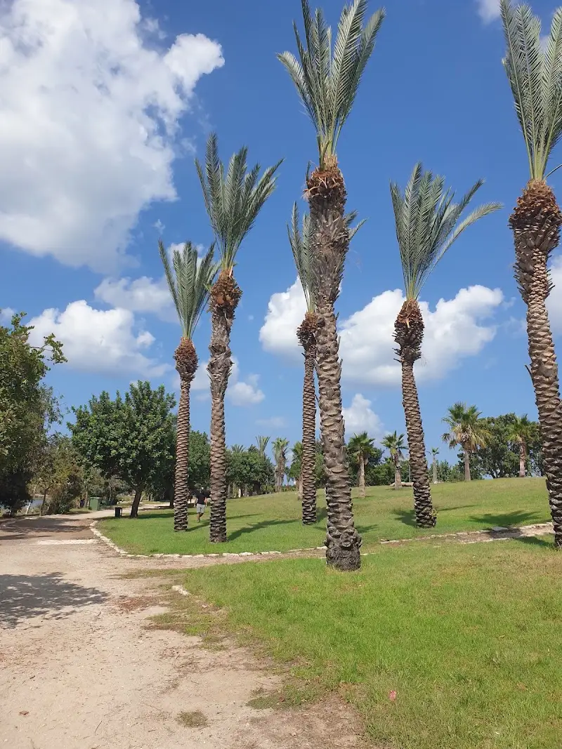 פארק מעגן הדייג - פארק הקישון בחיפה — בילוי משפחתי עם ילדים
