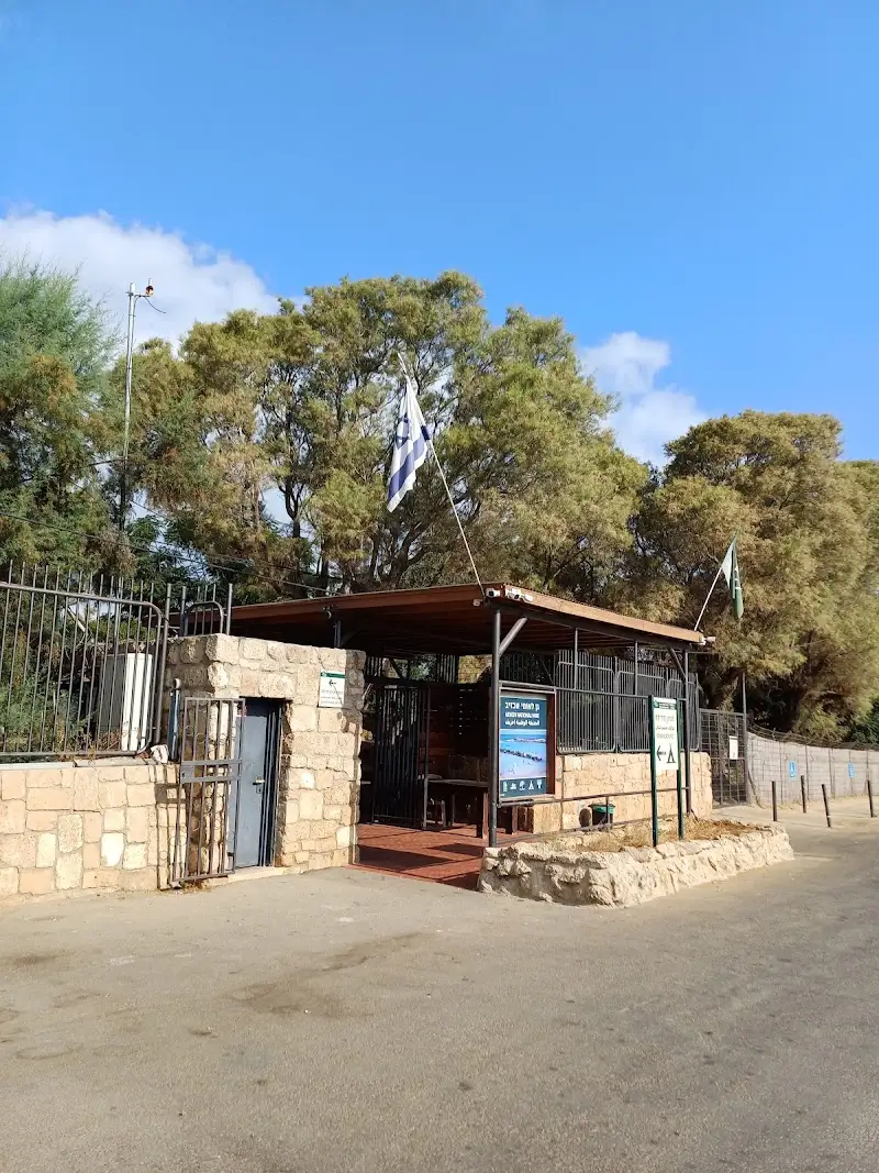 חניון לילה גן לאומי אכזיב בנהריה — בילוי משפחתי עם ילדים