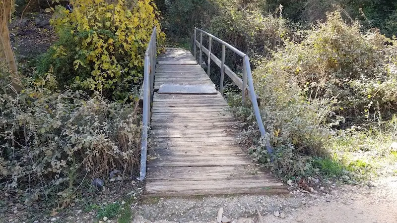 חניון לילה העיקול הר מירון במירון
