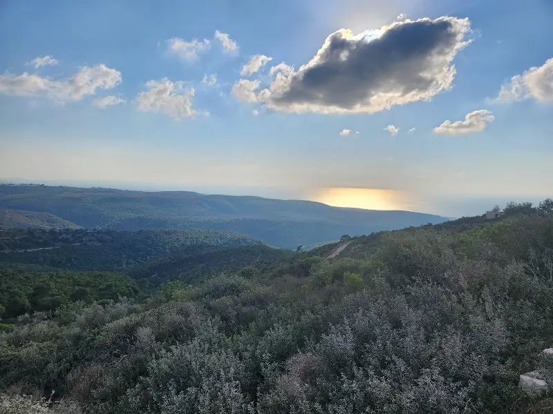חניון לילה טללים בחיפה — בילוי משפחתי עם ילדים