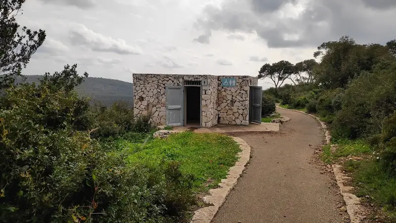 חניון לילה כלניות בחיפה — בילוי משפחתי עם ילדים