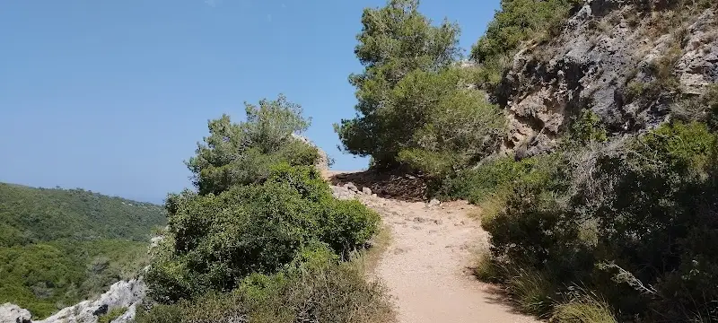 חניון לילה פיתולים בבית אורן