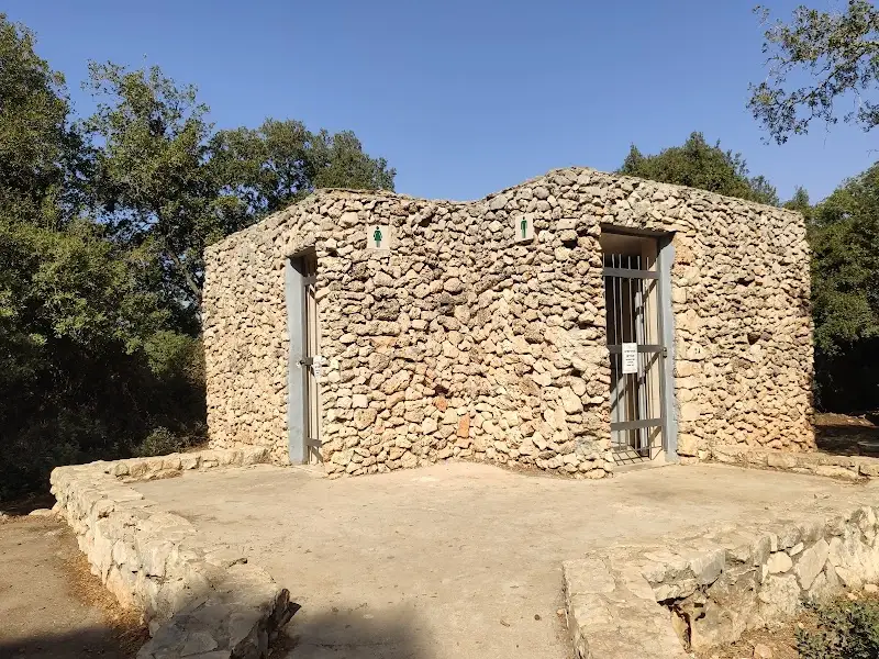 חניון לילה רקית בהכרמל