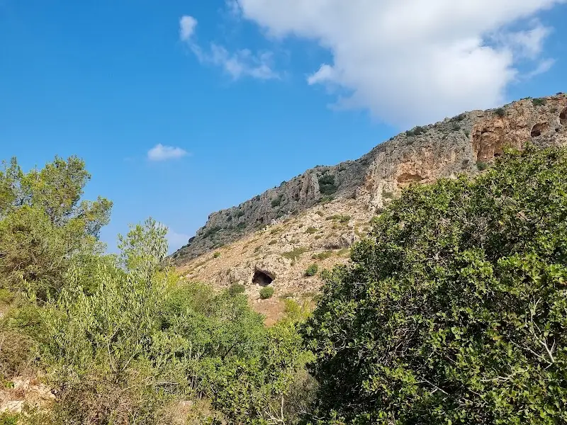 חניון לילה פתחת נחל אורן בהכרמל
