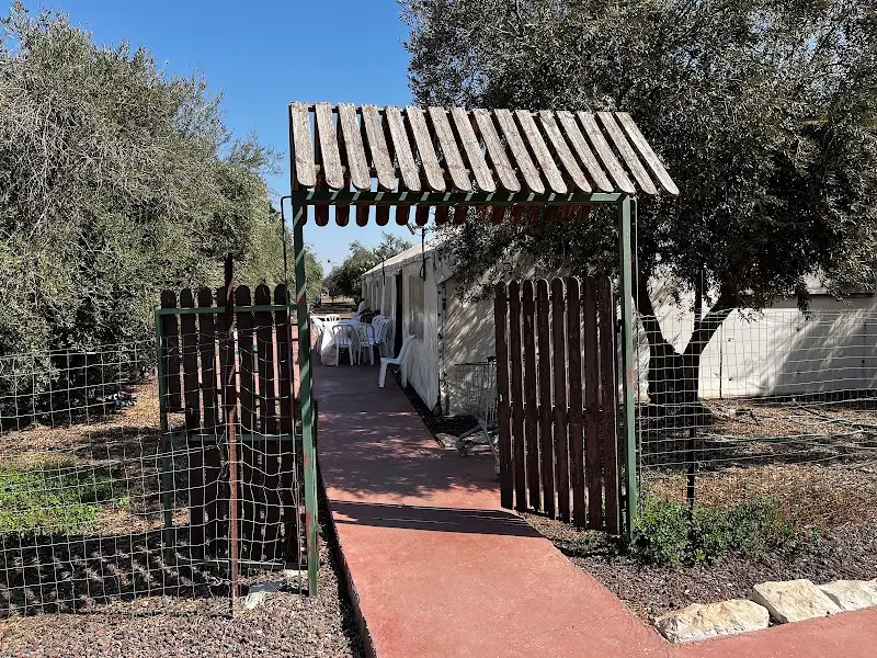 סיפורי בדים באליעד