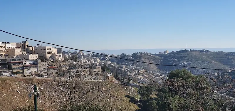 קמפינג יער השלום בירושלים — בילוי משפחתי עם ילדים