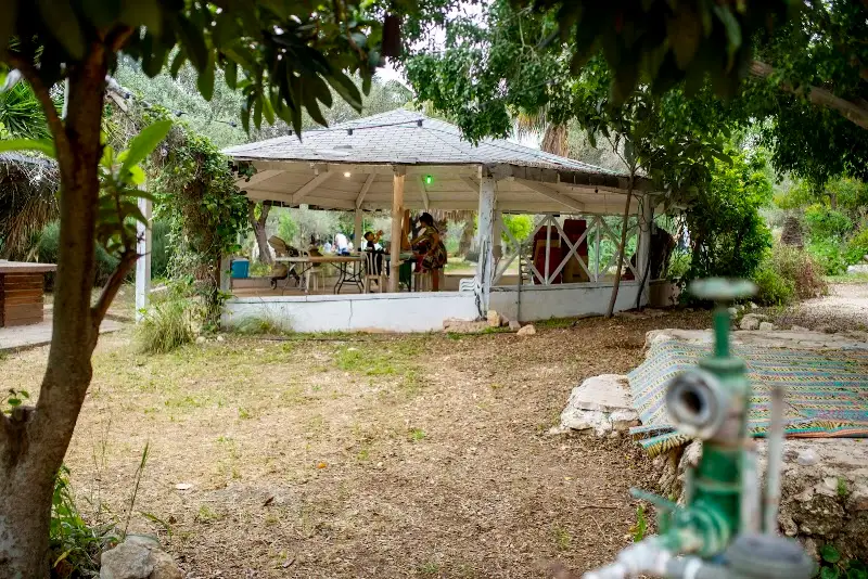 חוות הברבור בבית נחמיה