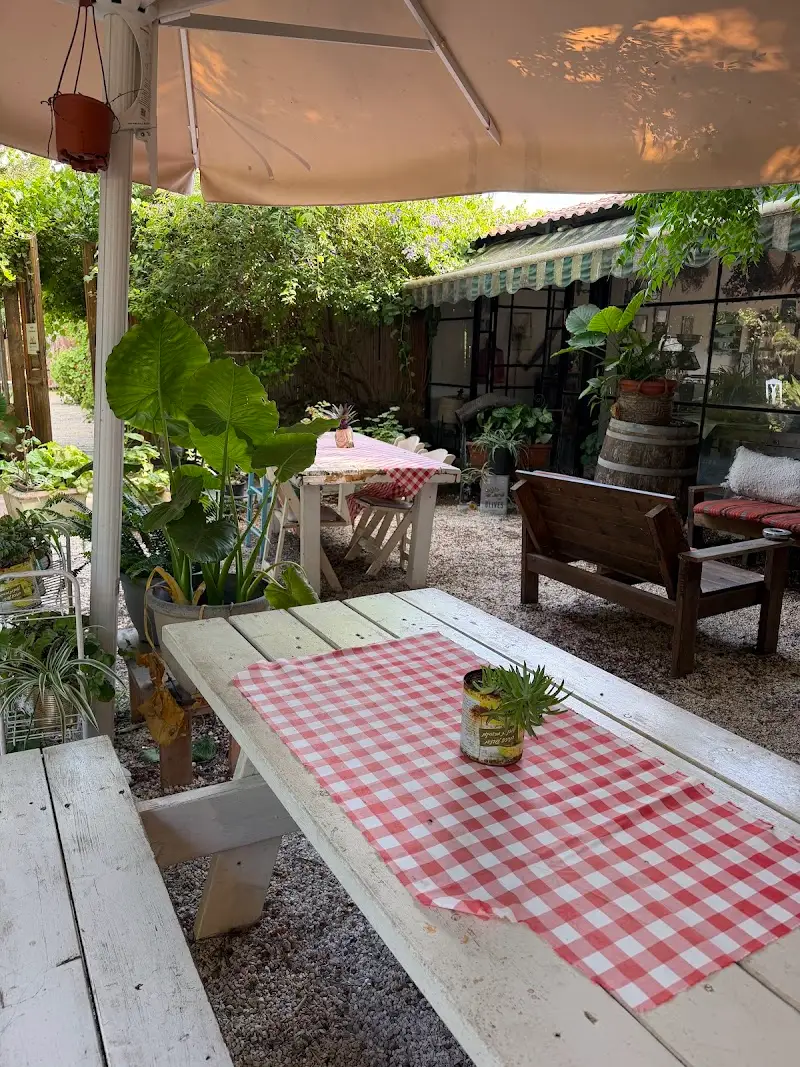 קפה קירשנר בבית לחם הגלילית — בילוי משפחתי עם ילדים