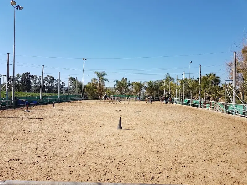 חוות המאלף: רכיבה חוויתית על סוסים במשמר איילון