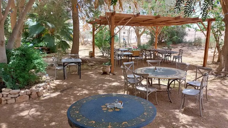 נאות סמדר: טבע, תרבות, קולינריה ונופש בנאות סמדר — בילוי משפחתי עם ילדים