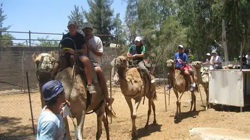 חוות האיכר בכיכר - קטיף ירקות ופירות מיוחדים במבוא חורון — בילוי משפחתי עם ילדים