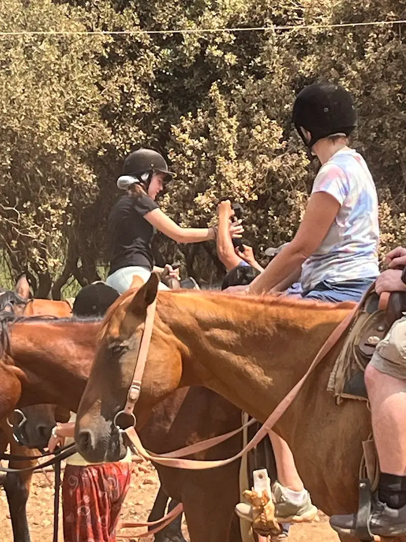 חווית הרוכבים בקיבוץ בית אורן — בילוי משפחתי עם ילדים