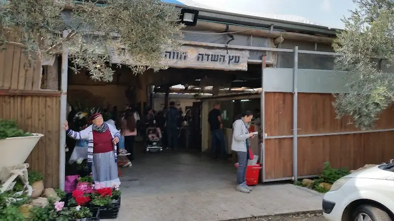 עץ השדה בבנימינה גבעת עדה