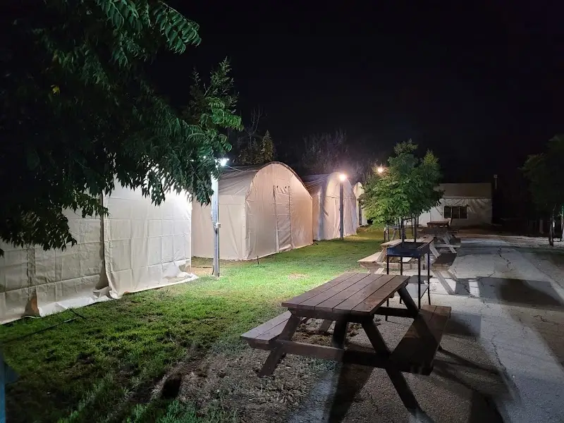 דרך העץ בשדמות דבורה — בילוי משפחתי עם ילדים