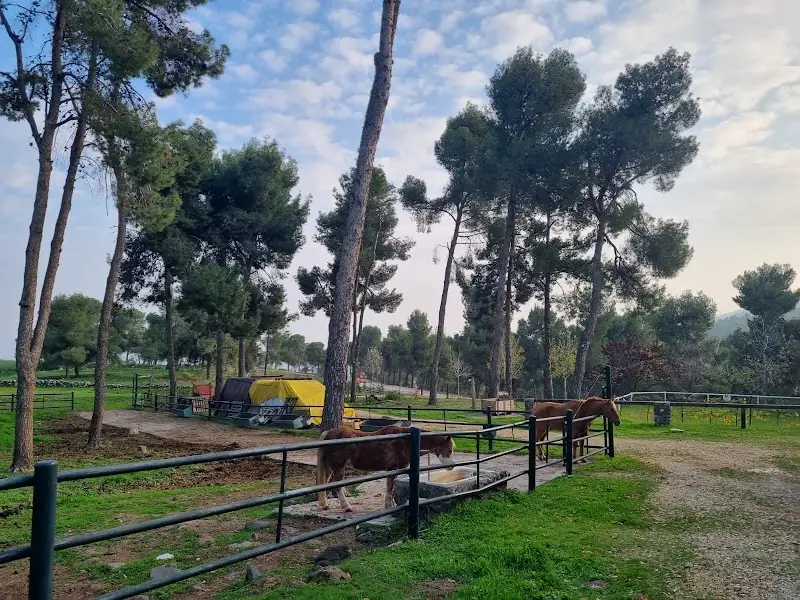 צימרים חוות האיצטרובל בעמוקה