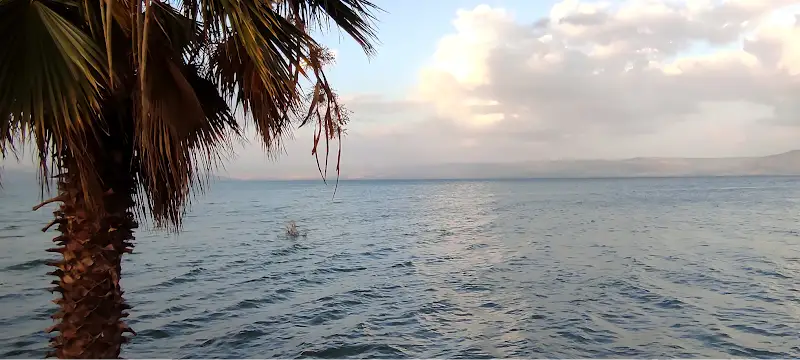 החוף השקט מרקורי בטבריה