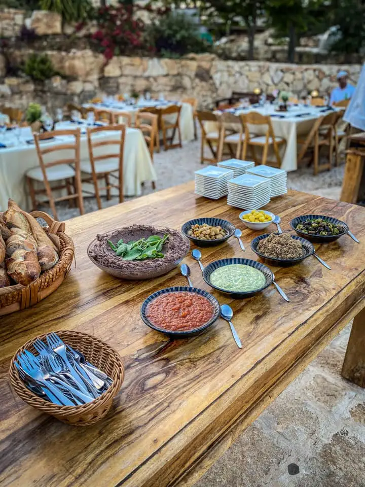 חוות שדה בר בחוות שדה בר — בילוי משפחתי עם ילדים