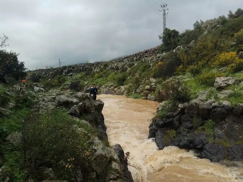 גשר הידידות - אירוח דרוזי בעין קיניה