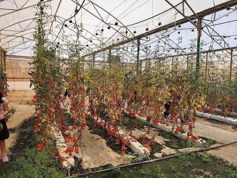 שביל הידע במדבר בהמרכז לחקלאות מדברית — בילוי משפחתי עם ילדים